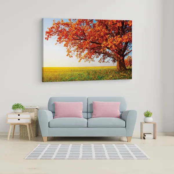 Multicolor_16_X_24_Inch,_Pine_Wood_Framed_Canvas_Paintings_|_For_Home_Decor,_Ready_To_Wall_Hanging,_Premium_Painting_|_For_|_Bedroom,_Living_Room,_Office_Wall_Decoration_|_Wall_Art_Painting,_Ct1367