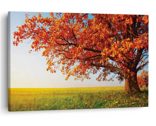 Multicolor_16_X_24_Inch,_Pine_Wood_Framed_Canvas_Paintings_|_For_Home_Decor,_Ready_To_Wall_Hanging,_Premium_Painting_|_For_|_Bedroom,_Living_Room,_Office_Wall_Decoration_|_Wall_Art_Painting,_Ct1367