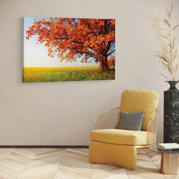 Multicolor_16_X_24_Inch,_Pine_Wood_Framed_Canvas_Paintings_|_For_Home_Decor,_Ready_To_Wall_Hanging,_Premium_Painting_|_For_|_Bedroom,_Living_Room,_Office_Wall_Decoration_|_Wall_Art_Painting,_Ct1367