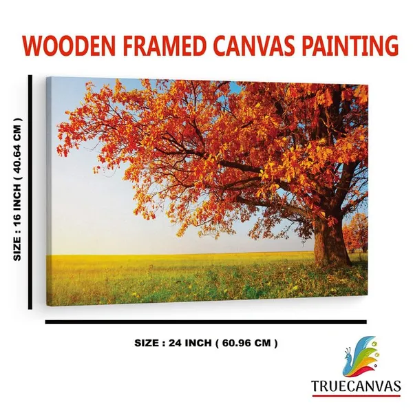 Multicolor_16_X_24_Inch,_Pine_Wood_Framed_Canvas_Paintings_|_For_Home_Decor,_Ready_To_Wall_Hanging,_Premium_Painting_|_For_|_Bedroom,_Living_Room,_Office_Wall_Decoration_|_Wall_Art_Painting,_Ct1367