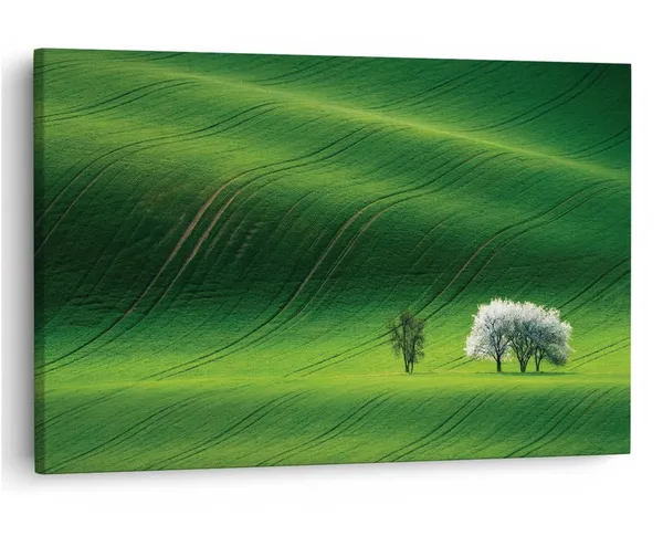Multicolor_16_X_24_Inch,_Pine_Wood_Framed_Canvas_Paintings_|_For_Home_Decor,_Ready_To_Wall_Hanging,_Premium_Painting_|_For_|_Bedroom,_Living_Room,_Office_Wall_Decoration_|_Wall_Art_Painting,_Ct1374