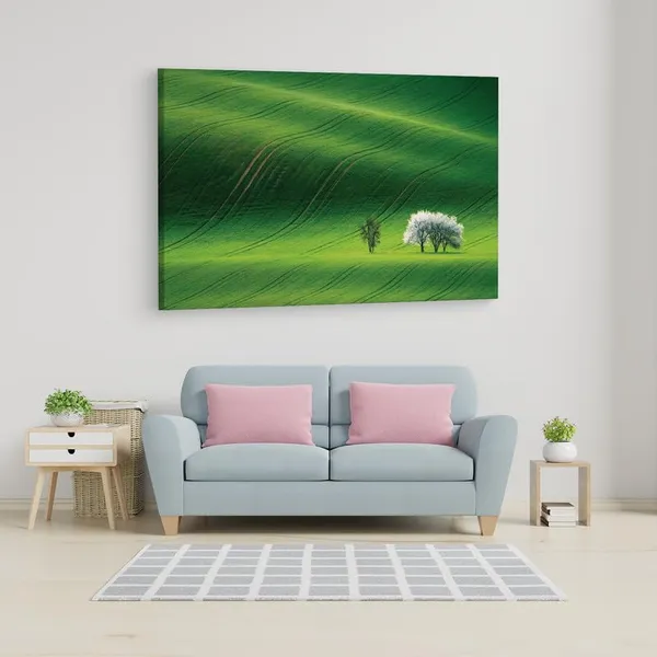 Multicolor_16_X_24_Inch,_Pine_Wood_Framed_Canvas_Paintings_|_For_Home_Decor,_Ready_To_Wall_Hanging,_Premium_Painting_|_For_|_Bedroom,_Living_Room,_Office_Wall_Decoration_|_Wall_Art_Painting,_Ct1374