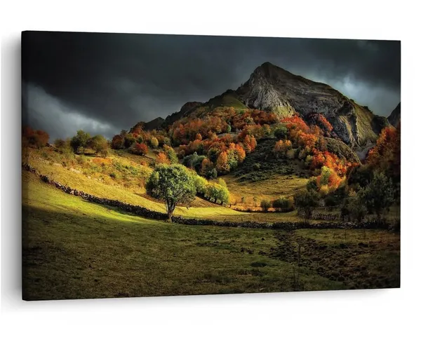 Multicolor_16_X_24_Inch,_Pine_Wood_Framed_Canvas_Paintings_|_For_Home_Decor,_Ready_To_Wall_Hanging,_Premium_Painting_|_For_|_Bedroom,_Living_Room,_Office_Wall_Decoration_|_Wall_Art_Painting,_Ct1375