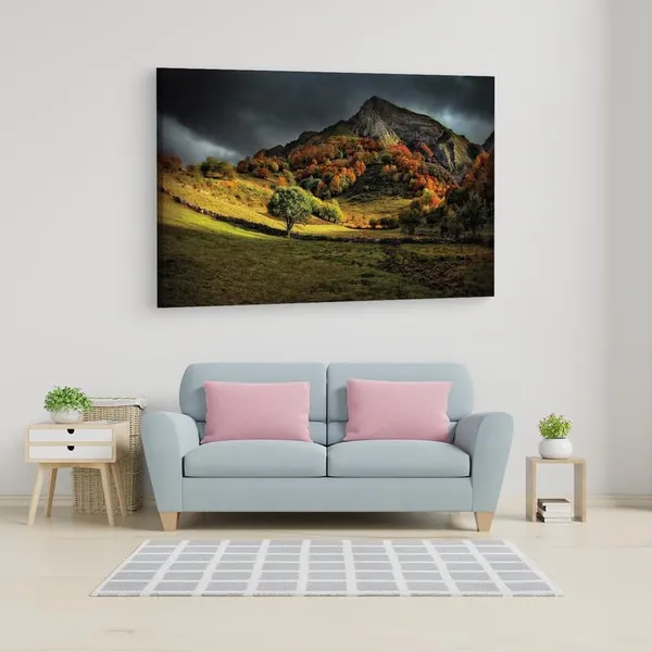 Multicolor_16_X_24_Inch,_Pine_Wood_Framed_Canvas_Paintings_|_For_Home_Decor,_Ready_To_Wall_Hanging,_Premium_Painting_|_For_|_Bedroom,_Living_Room,_Office_Wall_Decoration_|_Wall_Art_Painting,_Ct1375