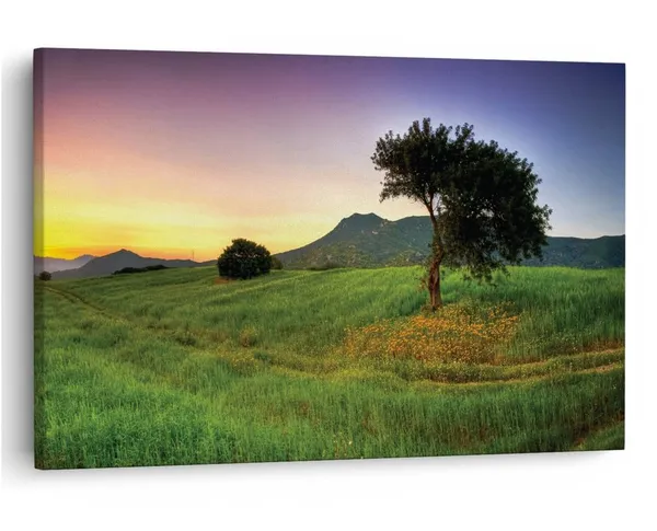 Multicolor_16_X_24_Inch,_Pine_Wood_Framed_Canvas_Paintings_|_For_Home_Decor,_Ready_To_Wall_Hanging,_Premium_Painting_|_For_|_Bedroom,_Living_Room,_Office_Wall_Decoration_|_Wall_Art_Painting,_Ct1376
