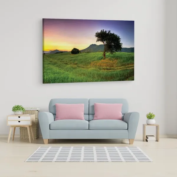 Multicolor_16_X_24_Inch,_Pine_Wood_Framed_Canvas_Paintings_|_For_Home_Decor,_Ready_To_Wall_Hanging,_Premium_Painting_|_For_|_Bedroom,_Living_Room,_Office_Wall_Decoration_|_Wall_Art_Painting,_Ct1376