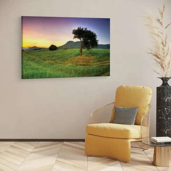 Multicolor_16_X_24_Inch,_Pine_Wood_Framed_Canvas_Paintings_|_For_Home_Decor,_Ready_To_Wall_Hanging,_Premium_Painting_|_For_|_Bedroom,_Living_Room,_Office_Wall_Decoration_|_Wall_Art_Painting,_Ct1376