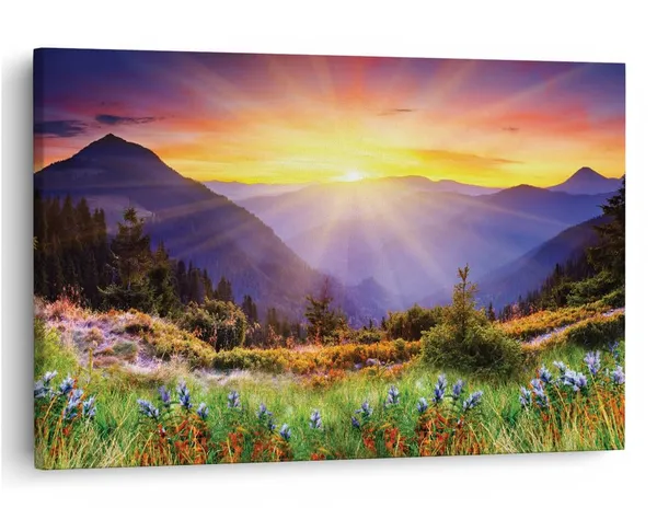 Multicolor_16_X_24_Inch,_Pine_Wood_Framed_Canvas_Paintings_|_For_Home_Decor,_Ready_To_Wall_Hanging,_Premium_Painting_|_For_|_Bedroom,_Living_Room,_Office_Wall_Decoration_|_Wall_Art_Painting,_Ct1378