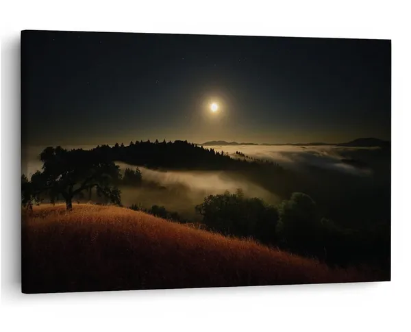 Multicolor_16_X_24_Inch,_Pine_Wood_Framed_Canvas_Paintings_|_For_Home_Decor,_Ready_To_Wall_Hanging,_Premium_Painting_|_For_|_Bedroom,_Living_Room,_Office_Wall_Decoration_|_Wall_Art_Painting,_Ct1394