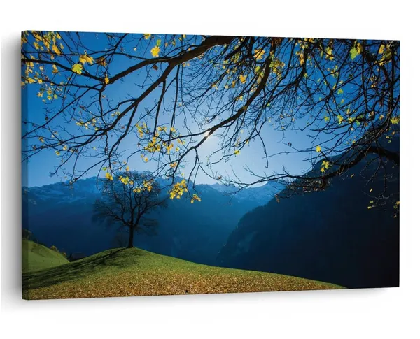 Multicolor_16_X_24_Inch,_Pine_Wood_Framed_Canvas_Paintings_|_For_Home_Decor,_Ready_To_Wall_Hanging,_Premium_Painting_|_For_|_Bedroom,_Living_Room,_Office_Wall_Decoration_|_Wall_Art_Painting,_Ct1400
