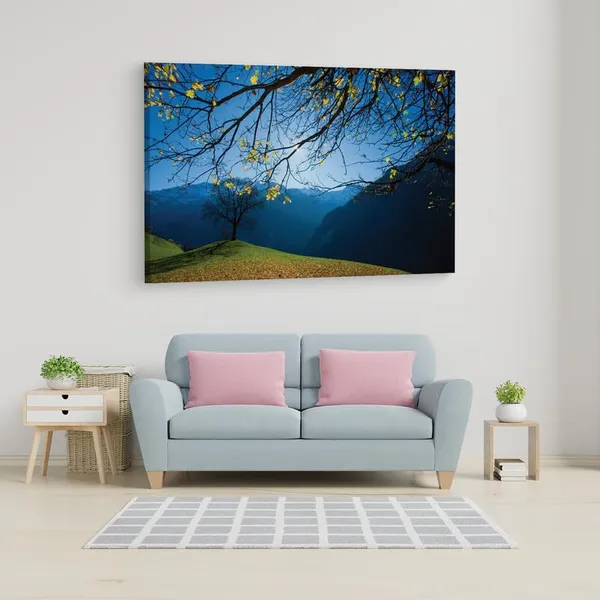 Multicolor_16_X_24_Inch,_Pine_Wood_Framed_Canvas_Paintings_|_For_Home_Decor,_Ready_To_Wall_Hanging,_Premium_Painting_|_For_|_Bedroom,_Living_Room,_Office_Wall_Decoration_|_Wall_Art_Painting,_Ct1400