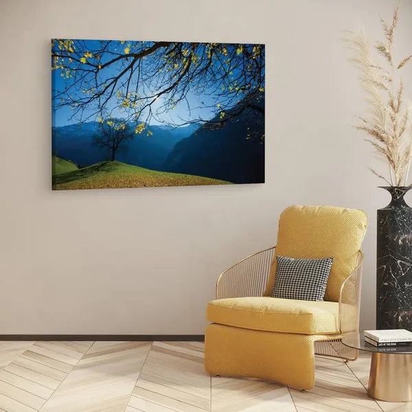 Multicolor_16_X_24_Inch,_Pine_Wood_Framed_Canvas_Paintings_|_For_Home_Decor,_Ready_To_Wall_Hanging,_Premium_Painting_|_For_|_Bedroom,_Living_Room,_Office_Wall_Decoration_|_Wall_Art_Painting,_Ct1400