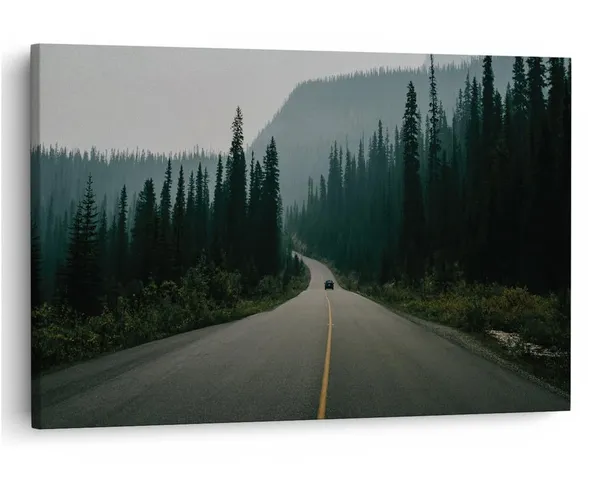 Multicolor_16_X_24_Inch,_Pine_Wood_Framed_Canvas_Paintings_|_For_Home_Decor,_Ready_To_Wall_Hanging,_Premium_Painting_|_For_|_Bedroom,_Living_Room,_Office_Wall_Decoration_|_Wall_Art_Painting,_Ct1401