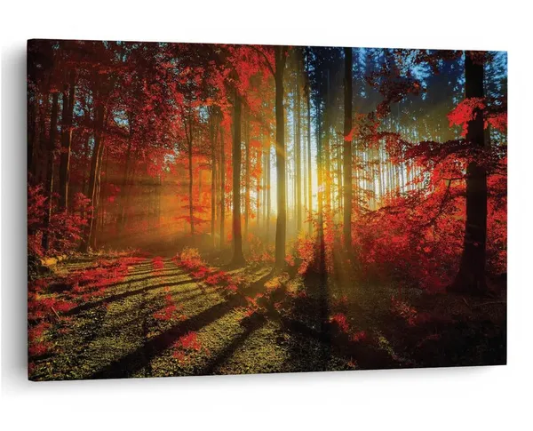 Multicolor_16_X_24_Inch,_Pine_Wood_Framed_Canvas_Paintings_|_For_Home_Decor,_Ready_To_Wall_Hanging,_Premium_Painting_|_For_|_Bedroom,_Living_Room,_Office_Wall_Decoration_|_Wall_Art_Painting,_Ct1403