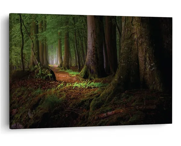 Multicolor_16_X_24_Inch,_Pine_Wood_Framed_Canvas_Paintings_|_For_Home_Decor,_Ready_To_Wall_Hanging,_Premium_Painting_|_For_|_Bedroom,_Living_Room,_Office_Wall_Decoration_|_Wall_Art_Painting,_Ct1406