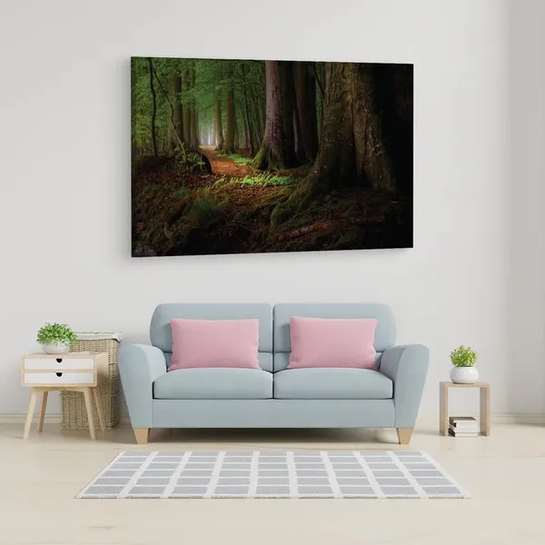Multicolor_16_X_24_Inch,_Pine_Wood_Framed_Canvas_Paintings_|_For_Home_Decor,_Ready_To_Wall_Hanging,_Premium_Painting_|_For_|_Bedroom,_Living_Room,_Office_Wall_Decoration_|_Wall_Art_Painting,_Ct1406