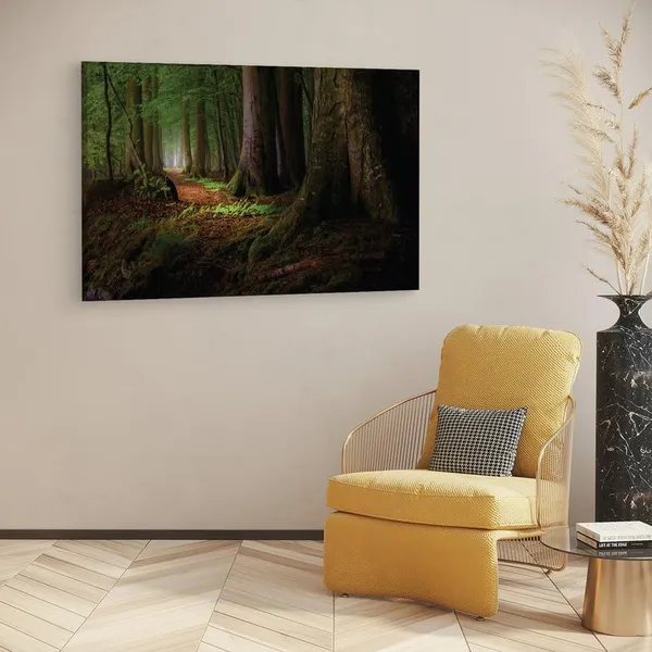 Multicolor_16_X_24_Inch,_Pine_Wood_Framed_Canvas_Paintings_|_For_Home_Decor,_Ready_To_Wall_Hanging,_Premium_Painting_|_For_|_Bedroom,_Living_Room,_Office_Wall_Decoration_|_Wall_Art_Painting,_Ct1406
