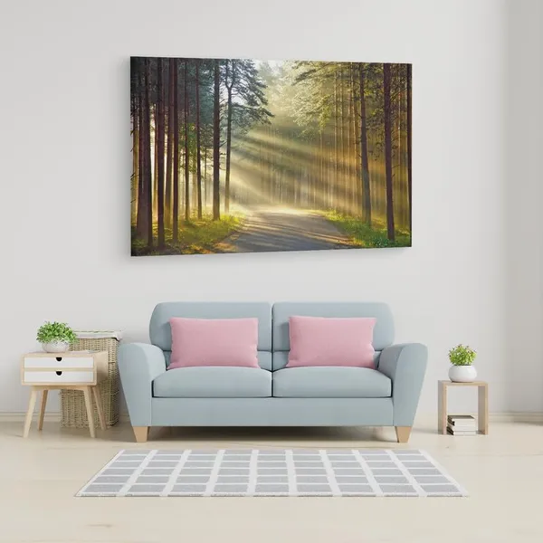 Multicolor_16_X_24_Inch,_Pine_Wood_Framed_Canvas_Paintings_|_For_Home_Decor,_Ready_To_Wall_Hanging,_Premium_Painting_|_For_|_Bedroom,_Living_Room,_Office_Wall_Decoration_|_Wall_Art_Painting,_Ct1407