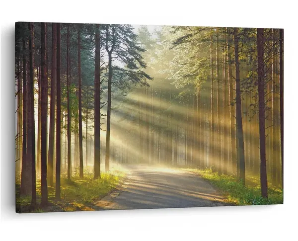 Multicolor_16_X_24_Inch,_Pine_Wood_Framed_Canvas_Paintings_|_For_Home_Decor,_Ready_To_Wall_Hanging,_Premium_Painting_|_For_|_Bedroom,_Living_Room,_Office_Wall_Decoration_|_Wall_Art_Painting,_Ct1407