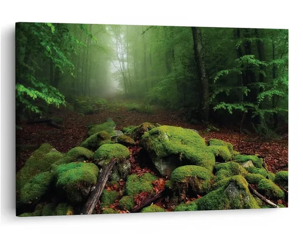 Multicolor_16_X_24_Inch,_Pine_Wood_Framed_Canvas_Paintings_|_For_Home_Decor,_Ready_To_Wall_Hanging,_Premium_Painting_|_For_|_Bedroom,_Living_Room,_Office_Wall_Decoration_|_Wall_Art_Painting,_Ct1417