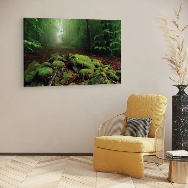 Multicolor_16_X_24_Inch,_Pine_Wood_Framed_Canvas_Paintings_|_For_Home_Decor,_Ready_To_Wall_Hanging,_Premium_Painting_|_For_|_Bedroom,_Living_Room,_Office_Wall_Decoration_|_Wall_Art_Painting,_Ct1417
