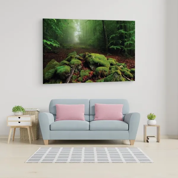 Multicolor_16_X_24_Inch,_Pine_Wood_Framed_Canvas_Paintings_|_For_Home_Decor,_Ready_To_Wall_Hanging,_Premium_Painting_|_For_|_Bedroom,_Living_Room,_Office_Wall_Decoration_|_Wall_Art_Painting,_Ct1417