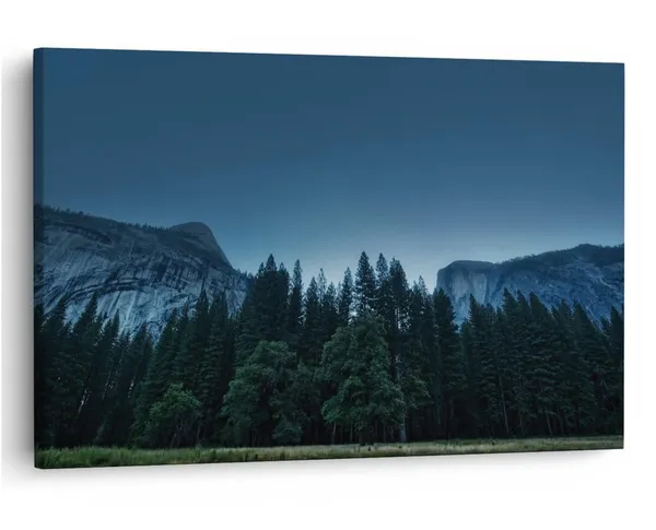 Multicolor_16_X_24_Inch,_Pine_Wood_Framed_Canvas_Paintings_|_For_Home_Decor,_Ready_To_Wall_Hanging,_Premium_Painting_|_For_|_Bedroom,_Living_Room,_Office_Wall_Decoration_|_Wall_Art_Painting,_Ct1418
