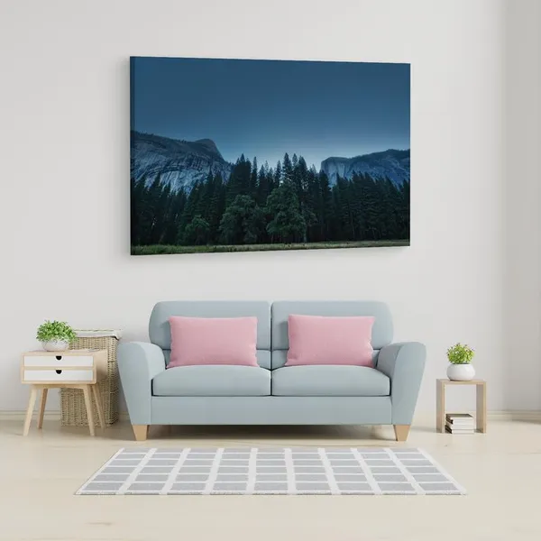 Multicolor_16_X_24_Inch,_Pine_Wood_Framed_Canvas_Paintings_|_For_Home_Decor,_Ready_To_Wall_Hanging,_Premium_Painting_|_For_|_Bedroom,_Living_Room,_Office_Wall_Decoration_|_Wall_Art_Painting,_Ct1418