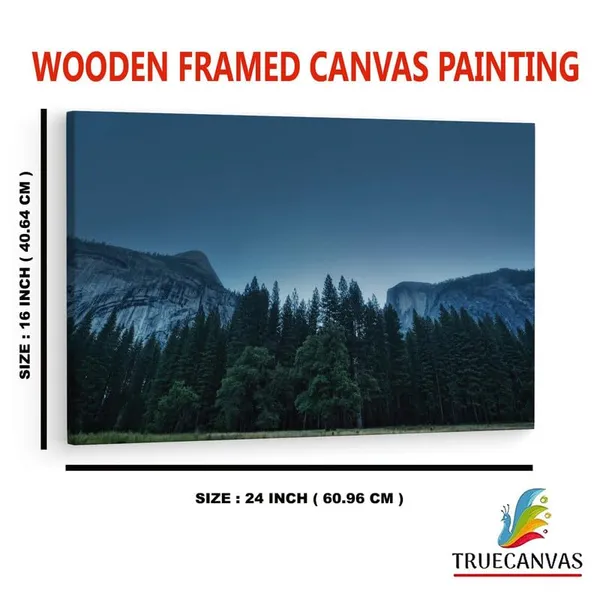 Multicolor_16_X_24_Inch,_Pine_Wood_Framed_Canvas_Paintings_|_For_Home_Decor,_Ready_To_Wall_Hanging,_Premium_Painting_|_For_|_Bedroom,_Living_Room,_Office_Wall_Decoration_|_Wall_Art_Painting,_Ct1418