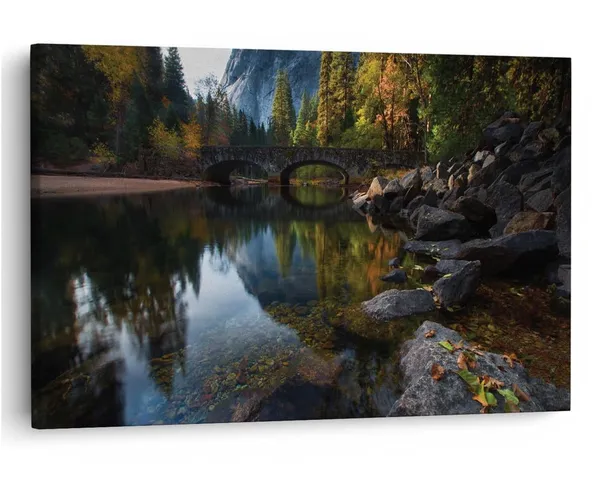 Multicolor_16_X_24_Inch,_Pine_Wood_Framed_Canvas_Paintings_|_For_Home_Decor,_Ready_To_Wall_Hanging,_Premium_Painting_|_For_|_Bedroom,_Living_Room,_Office_Wall_Decoration_|_Wall_Art_Painting,_Ct1423