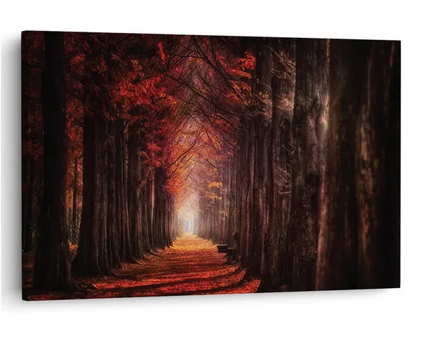 Multicolor_16_X_24_Inch,_Pine_Wood_Framed_Canvas_Paintings_|_For_Home_Decor,_Ready_To_Wall_Hanging,_Premium_Painting_|_For_|_Bedroom,_Living_Room,_Office_Wall_Decoration_|_Wall_Art_Painting,_Ct1427