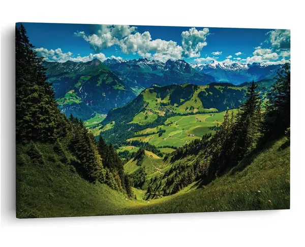 Multicolor_16_X_24_Inch,_Pine_Wood_Framed_Canvas_Paintings_|_For_Home_Decor,_Ready_To_Wall_Hanging,_Premium_Painting_|_For_|_Bedroom,_Living_Room,_Office_Wall_Decoration_|_Wall_Art_Painting,_Ct1448