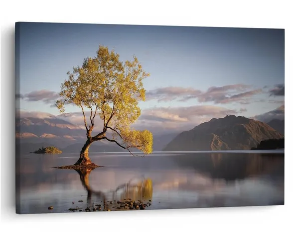 Multicolor_16_X_24_Inch,_Pine_Wood_Framed_Canvas_Paintings_|_For_Home_Decor,_Ready_To_Wall_Hanging,_Premium_Painting_|_For_|_Bedroom,_Living_Room,_Office_Wall_Decoration_|_Wall_Art_Painting,_Ct1462