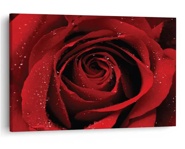 Multicolor_16_X_24_Inch,_Pine_Wood_Framed_Canvas_Paintings_|_For_Home_Decor,_Ready_To_Wall_Hanging,_Premium_Painting_|_For_|_Bedroom,_Living_Room,_Office_Wall_Decoration_|_Wall_Art_Painting,_Ct1489