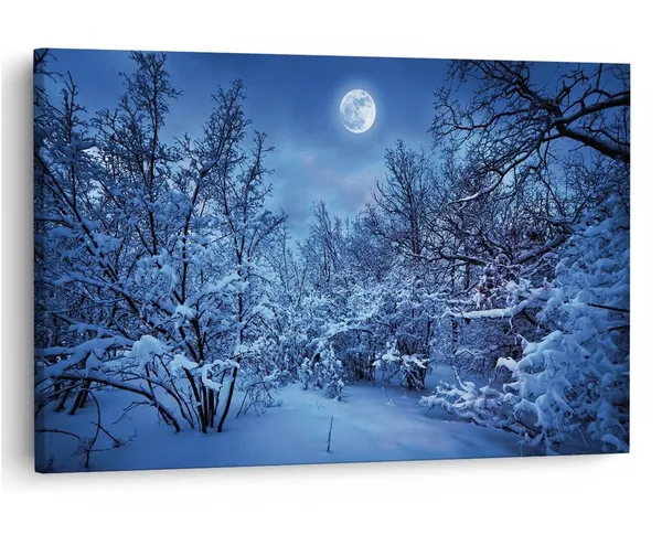Multicolor_16_X_24_Inch,_Pine_Wood_Framed_Canvas_Paintings_|_For_Home_Decor,_Ready_To_Wall_Hanging,_Premium_Painting_|_For_|_Bedroom,_Living_Room,_Office_Wall_Decoration_|_Wall_Art_Painting,_Ct1490