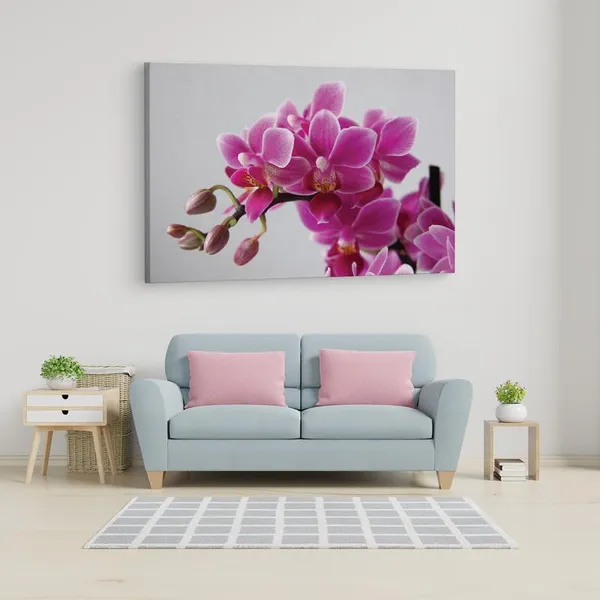 Multicolor_16_X_24_Inch,_Pine_Wood_Framed_Canvas_Paintings_|_For_Home_Decor,_Ready_To_Wall_Hanging,_Premium_Painting_|_For_|_Bedroom,_Living_Room,_Office_Wall_Decoration_|_Wall_Art_Painting,_Ct1497