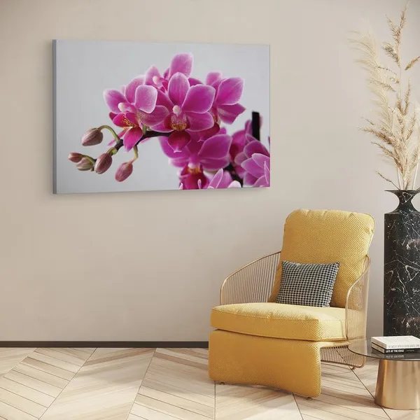 Multicolor_16_X_24_Inch,_Pine_Wood_Framed_Canvas_Paintings_|_For_Home_Decor,_Ready_To_Wall_Hanging,_Premium_Painting_|_For_|_Bedroom,_Living_Room,_Office_Wall_Decoration_|_Wall_Art_Painting,_Ct1497