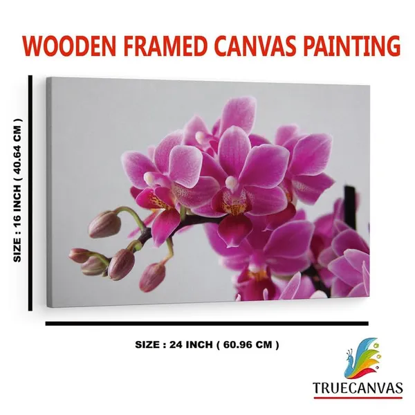 Multicolor_16_X_24_Inch,_Pine_Wood_Framed_Canvas_Paintings_|_For_Home_Decor,_Ready_To_Wall_Hanging,_Premium_Painting_|_For_|_Bedroom,_Living_Room,_Office_Wall_Decoration_|_Wall_Art_Painting,_Ct1497