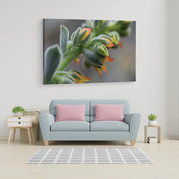 Multicolor_16_X_24_Inch,_Pine_Wood_Framed_Canvas_Paintings_|_For_Home_Decor,_Ready_To_Wall_Hanging,_Premium_Painting_|_For_|_Bedroom,_Living_Room,_Office_Wall_Decoration_|_Wall_Art_Painting,_Ct1500
