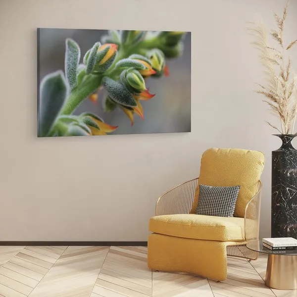 Multicolor_16_X_24_Inch,_Pine_Wood_Framed_Canvas_Paintings_|_For_Home_Decor,_Ready_To_Wall_Hanging,_Premium_Painting_|_For_|_Bedroom,_Living_Room,_Office_Wall_Decoration_|_Wall_Art_Painting,_Ct1500