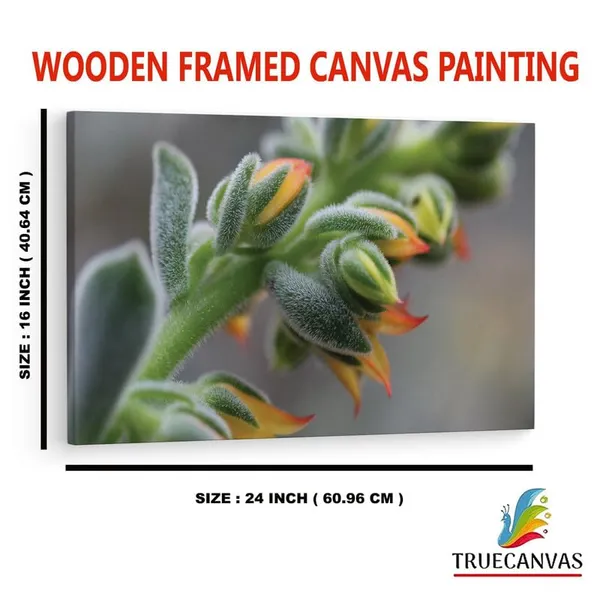 Multicolor_16_X_24_Inch,_Pine_Wood_Framed_Canvas_Paintings_|_For_Home_Decor,_Ready_To_Wall_Hanging,_Premium_Painting_|_For_|_Bedroom,_Living_Room,_Office_Wall_Decoration_|_Wall_Art_Painting,_Ct1500