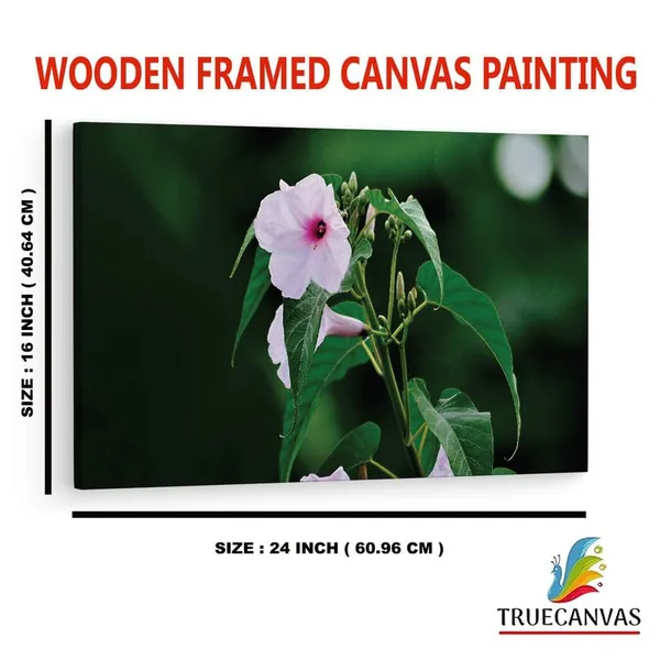 Multicolor_16_X_24_Inch,_Pine_Wood_Framed_Canvas_Paintings_|_For_Home_Decor,_Ready_To_Wall_Hanging,_Premium_Painting_|_For_|_Bedroom,_Living_Room,_Office_Wall_Decoration_|_Wall_Art_Painting,_Ct1501