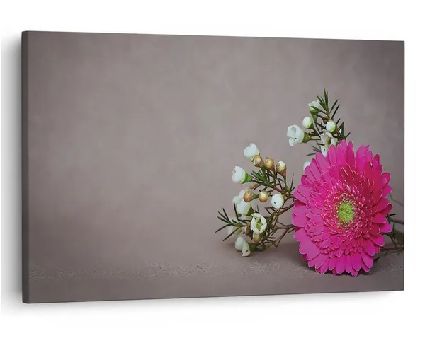 Multicolor_16_X_24_Inch,_Pine_Wood_Framed_Canvas_Paintings_|_For_Home_Decor,_Ready_To_Wall_Hanging,_Premium_Painting_|_For_|_Bedroom,_Living_Room,_Office_Wall_Decoration_|_Wall_Art_Painting,_Ct1503