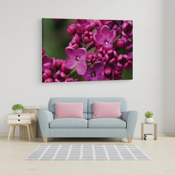 Multicolor_16_X_24_Inch,_Pine_Wood_Framed_Canvas_Paintings_|_For_Home_Decor,_Ready_To_Wall_Hanging,_Premium_Painting_|_For_|_Bedroom,_Living_Room,_Office_Wall_Decoration_|_Wall_Art_Painting,_Ct1506