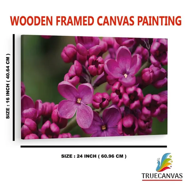 Multicolor_16_X_24_Inch,_Pine_Wood_Framed_Canvas_Paintings_|_For_Home_Decor,_Ready_To_Wall_Hanging,_Premium_Painting_|_For_|_Bedroom,_Living_Room,_Office_Wall_Decoration_|_Wall_Art_Painting,_Ct1506