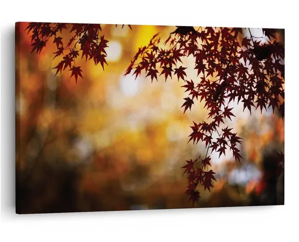 Multicolor_16_X_24_Inch,_Pine_Wood_Framed_Canvas_Paintings_|_For_Home_Decor,_Ready_To_Wall_Hanging,_Premium_Painting_|_For_|_Bedroom,_Living_Room,_Office_Wall_Decoration_|_Wall_Art_Painting,_Ct1508