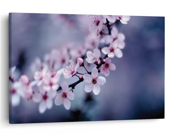 Multicolor_16_X_24_Inch,_Pine_Wood_Framed_Canvas_Paintings_|_For_Home_Decor,_Ready_To_Wall_Hanging,_Premium_Painting_|_For_|_Bedroom,_Living_Room,_Office_Wall_Decoration_|_Wall_Art_Painting,_Ct1510