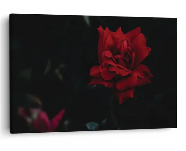 Multicolor_16_X_24_Inch,_Pine_Wood_Framed_Canvas_Paintings_|_For_Home_Decor,_Ready_To_Wall_Hanging,_Premium_Painting_|_For_|_Bedroom,_Living_Room,_Office_Wall_Decoration_|_Wall_Art_Painting,_Ct1511