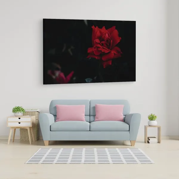 Multicolor_16_X_24_Inch,_Pine_Wood_Framed_Canvas_Paintings_|_For_Home_Decor,_Ready_To_Wall_Hanging,_Premium_Painting_|_For_|_Bedroom,_Living_Room,_Office_Wall_Decoration_|_Wall_Art_Painting,_Ct1511