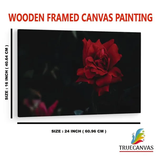 Multicolor_16_X_24_Inch,_Pine_Wood_Framed_Canvas_Paintings_|_For_Home_Decor,_Ready_To_Wall_Hanging,_Premium_Painting_|_For_|_Bedroom,_Living_Room,_Office_Wall_Decoration_|_Wall_Art_Painting,_Ct1511
